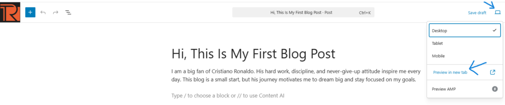 WordPress Post Preview