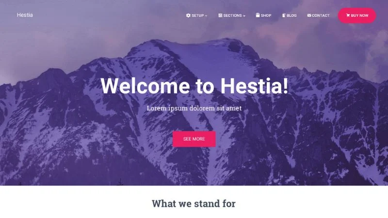 modern WordPress theme for professionals